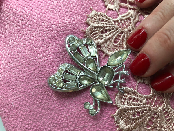 butterfly beauty