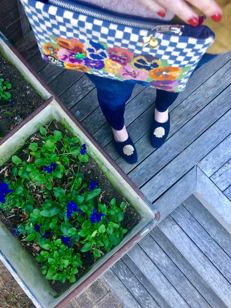 Pansy delight